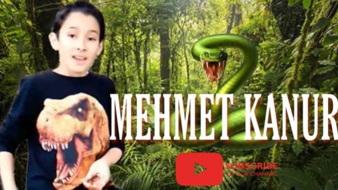 Youtube'un Küçük Korkusuz ve Hayvan Dostu Youtuber'ı: Mehmet Kanur
