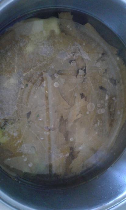 Sar Sar Sar Makarayı: Nefis Sarma ve Dolma Tarifim!🍜
