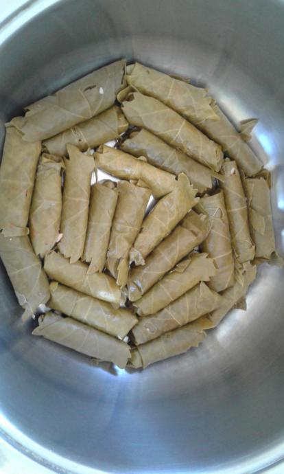 Sar Sar Sar Makarayı: Nefis Sarma ve Dolma Tarifim!🍜