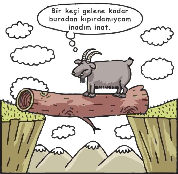 Keçim kadar inatçı olsan yeterli :)
