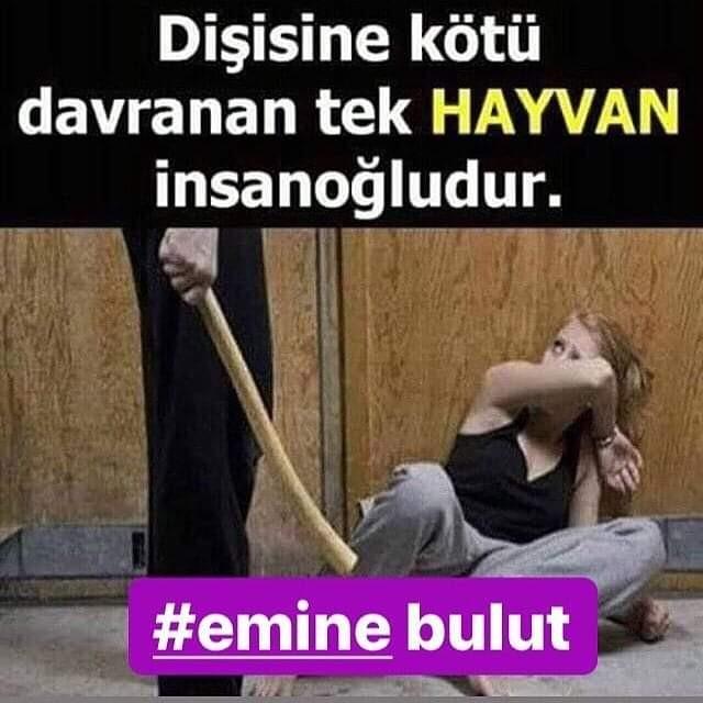 Şiddet, Tecavüz, Hepsinin Tek Kaynağı, Cehaleti Yenmek!