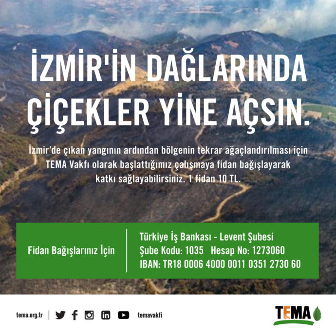 Bugünlerde Güzel Şeyler de Oluyor: İşte Norm Ender'in Başlattığı #FidanChallenge'a Dair Her Şey!