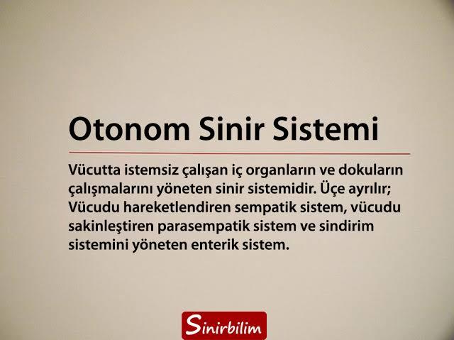 Bu İddia Yeri Yerinden Oynatır: Seks Gribe İyi Geliyor Olabilir mi?
