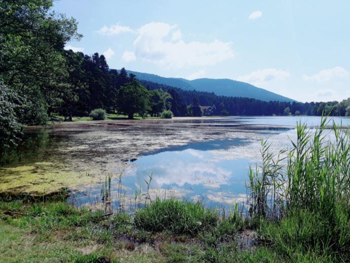 Bolu,Gölcük