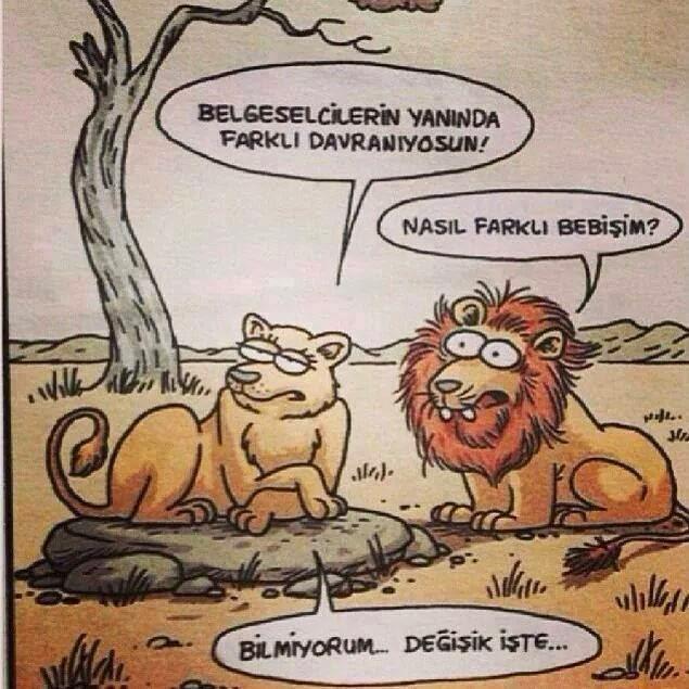 Kızların Yalan Olduğunu Bildiği Halde, Gerçekmiş Gibi İnandığı 10 Söz