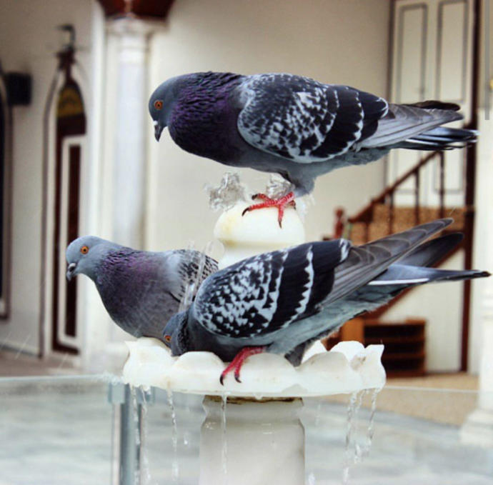 Camii önü - Bursa