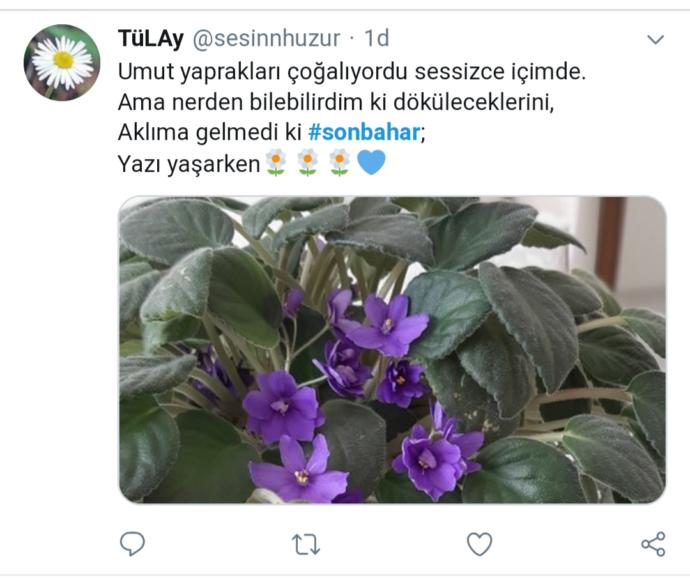 Twitter Aleminin Sonbahar Temalı Tweetleri ile Merhaba Sonbahar
