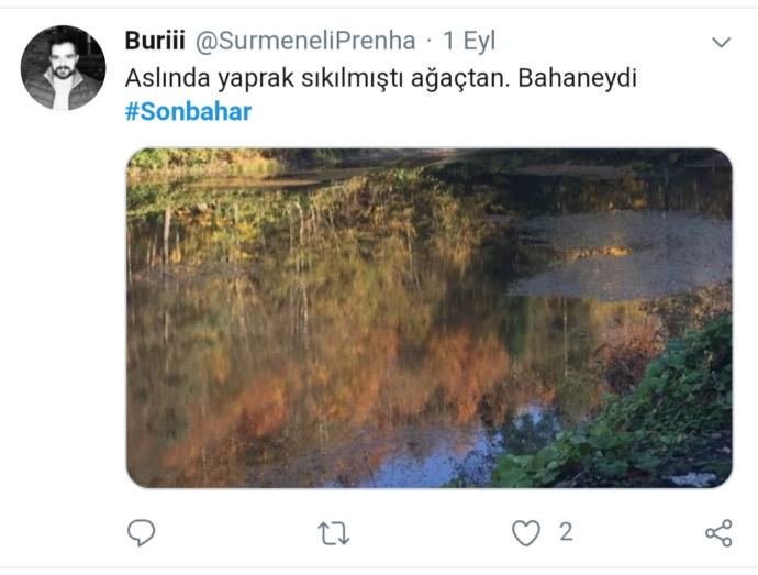 Twitter Aleminin Sonbahar Temalı Tweetleri ile Merhaba Sonbahar