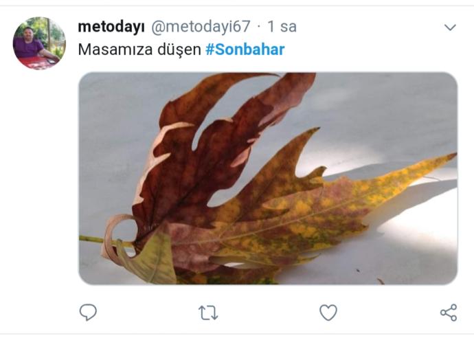 Twitter Aleminin Sonbahar Temalı Tweetleri ile Merhaba Sonbahar
