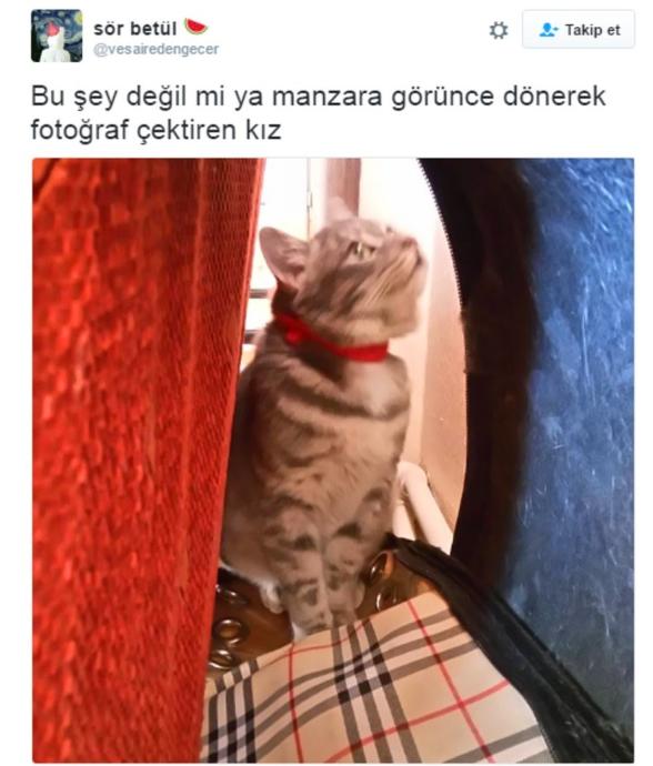 Sosyal Medyaya Giriş 101: İnternet Jargonunda Sıklıkla Karşılaştığımız Kalıplar ve Anlamları!