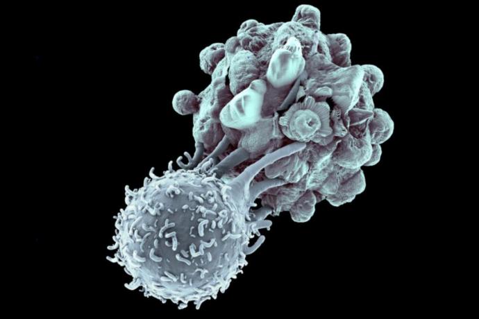 Kanser Hücrelerinin Boyun Eğdiği Mutluluk Hormonu: Serotonin!