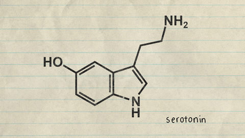 Kanser Hücrelerinin Boyun Eğdiği Mutluluk Hormonu: Serotonin!
