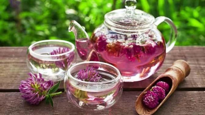 Soğuk Havalarda Sağlığınızı Bitki Çaylarıyla Koruyun