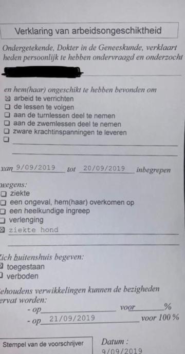 Belçika'da Tartışmaya Neden Olan Rapor: Köpeği Hasta Olan Çalışana