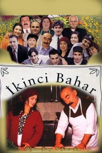 90’larda Abonesi Olduğumuz, Gördüğümüzde Hatıralarımızı Aklımıza Getirecek 20 Dizi