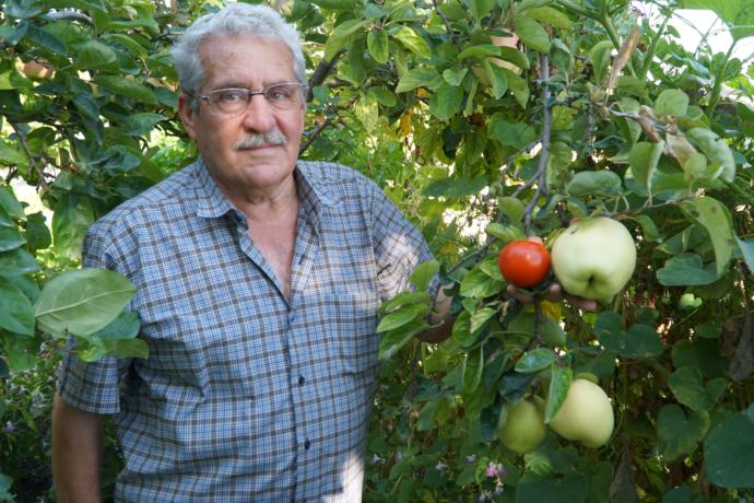 Necmettin Bor