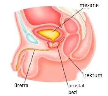 Bütün Vücudu Titretecek Bir Orgazm Deneyimi!