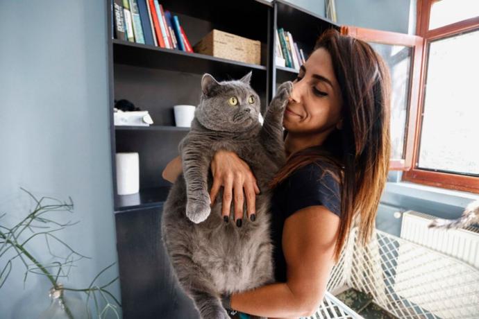13 Kiloya Ulaşan Kedi, Pilates ile 8,5 Kiloya Düştü