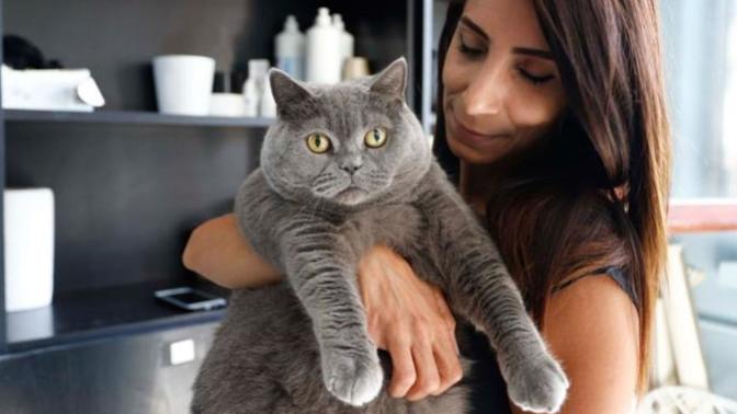 13 Kiloya Ulaşan Kedi, Pilates ile 8,5 Kiloya Düştü