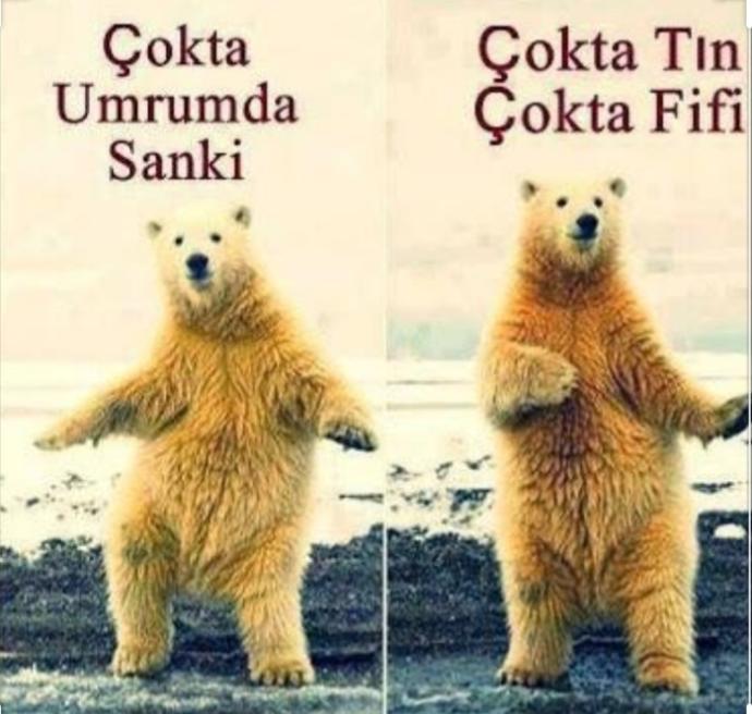 Geveze İnsanların Özellikleri Nelerdir?