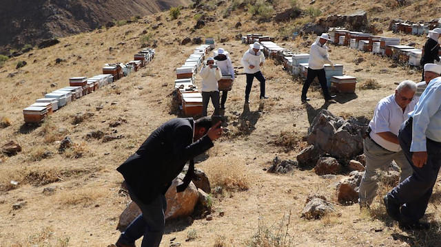 Van'da Arılar, 'Şükür' Duasına Çıkanlara Saldırdı