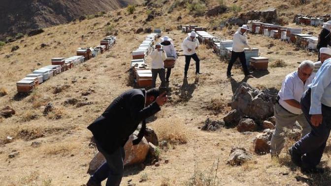 'Bal' Duasına Çıkanlara Arılar Saldırdı!
