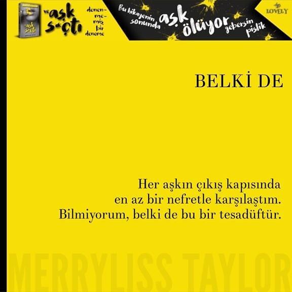 Merryliss Taylor'ın Kaleminden: Ve Aşk S*çtı Kitabının Konusu Nedir?