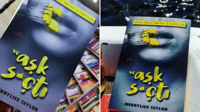 Merryliss Taylor'ın Kaleminden: Ve Aşk S*çtı Kitabının Konusu Nedir?