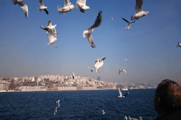 Kendimizi İyi Niyet Elçisi Zannettiğimiz Durumlar Neler?