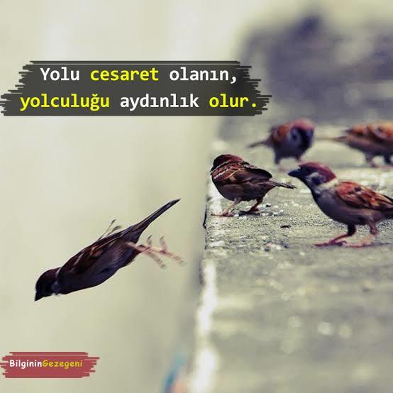 Zor Değil: 5 Adımda Utangaçlığınızı Yenebilirsiniz!