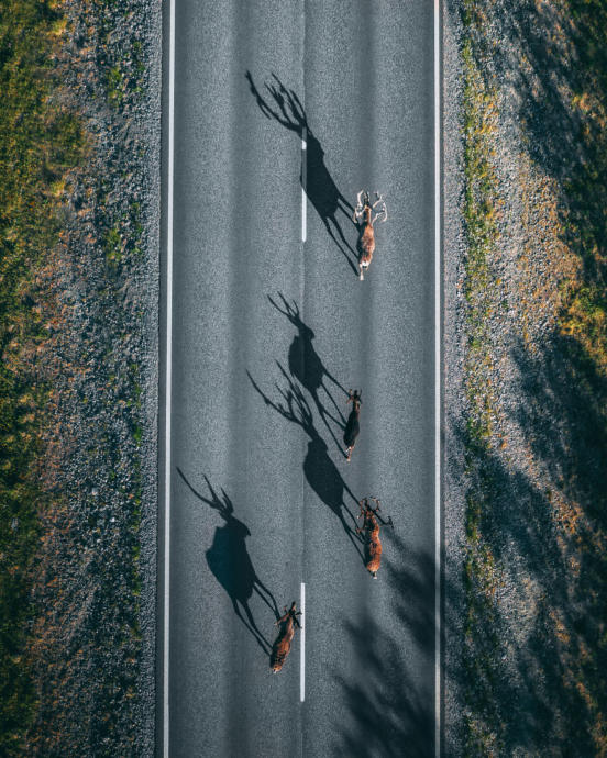 #Travel2019 Fotoğraf Yarışmasına Damga Vuran Çarpıcı Fotoğraflar!