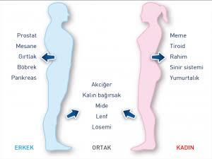 Erken Teşhis Hayat Kurtarır: Dünyada ve Türkiye'de Kanser