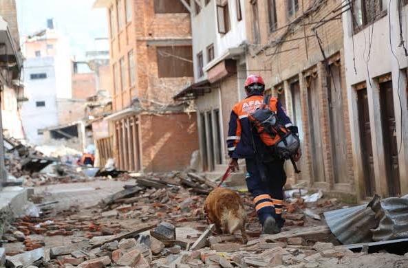 2 kişilik acil deprem çantası