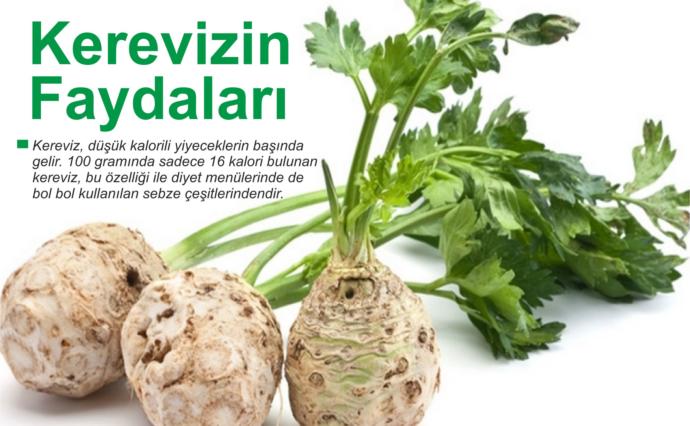Kerevizden Gelen Sağlık: Kerevizin Faydaları Nelerdir?