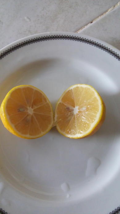 Sağlıklı Beslenenler Buraya: İsotlu Avokado Salatası Nasıl Yapılır?