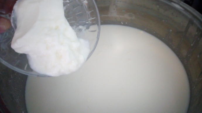 Yoğurt Kaymağından Tereyağı ve Lor Peyniri Nasıl Yapılır?