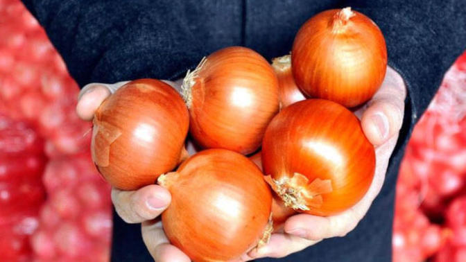 Merhaba, Ben Doktor Soğan: Soğanın Faydaları Neler?