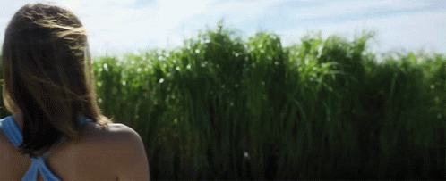 Yeşilliklerin İçindeki Sır: In The Tall Grass