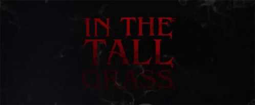 Yeşilliklerin İçindeki Sır: In The Tall Grass