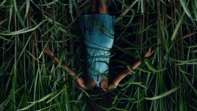Yeşilliklerin İçindeki Sır: In The Tall Grass