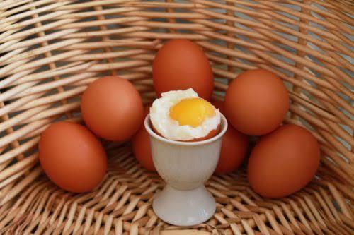 Yaşam İçin Protein: Dünya Yumurta Günümüz Kutlu Olsun!