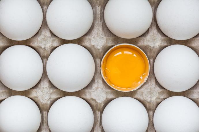 Yaşam İçin Protein: Dünya Yumurta Günümüz Kutlu Olsun!