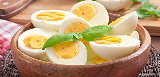 Yaşam İçin Protein: Dünya Yumurta Günümüz Kutlu Olsun!