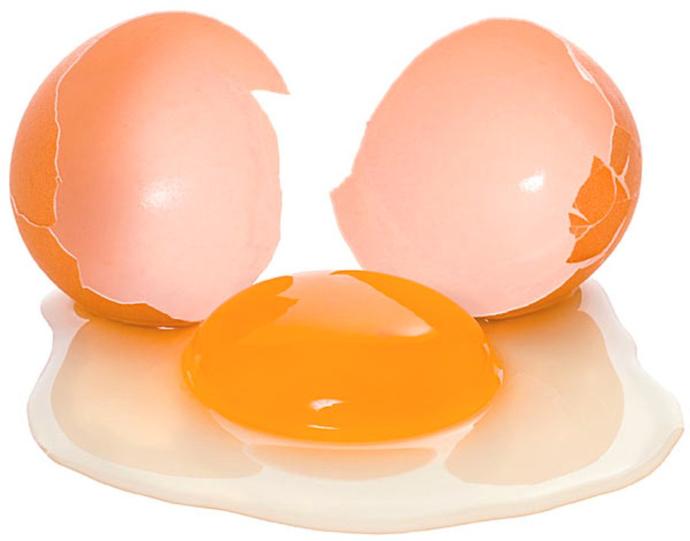 Yaşam İçin Protein: Dünya Yumurta Günümüz Kutlu Olsun!