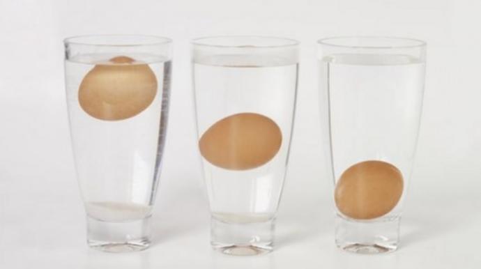 Yaşam İçin Protein: Dünya Yumurta Günümüz Kutlu Olsun!