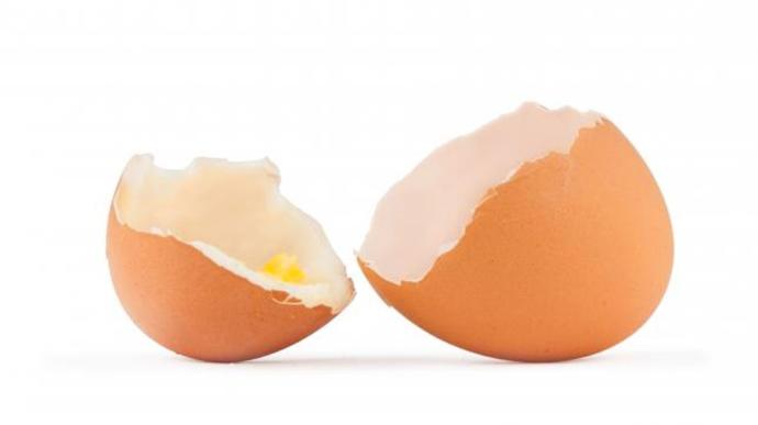 Yaşam İçin Protein: Dünya Yumurta Günümüz Kutlu Olsun!