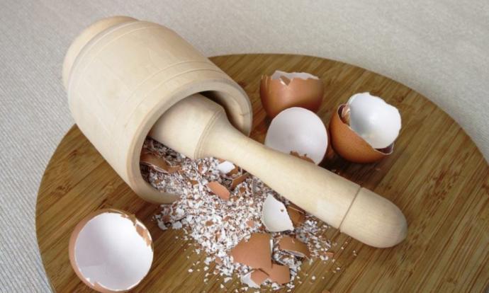 Yaşam İçin Protein: Dünya Yumurta Günümüz Kutlu Olsun!