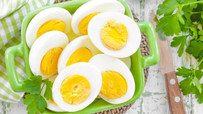 Yaşam İçin Protein: Dünya Yumurta Günümüz Kutlu Olsun!