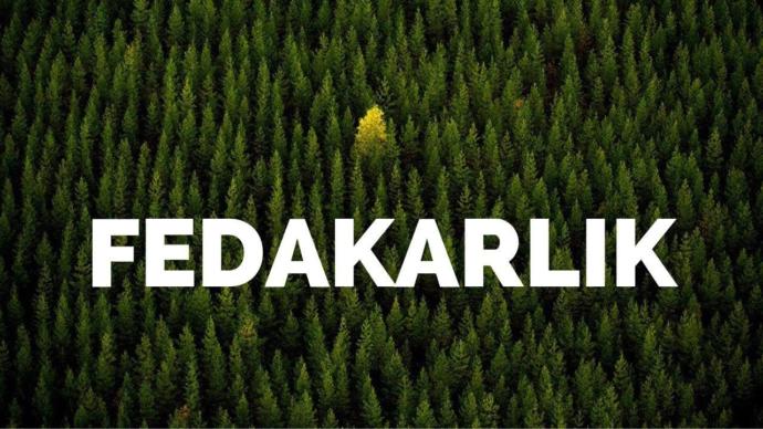 Sağlıklı Yaşam İçin Altın Öğütler Nelerdir?