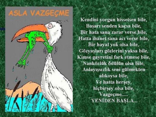 Sağlıklı Yaşam İçin Altın Öğütler Nelerdir?